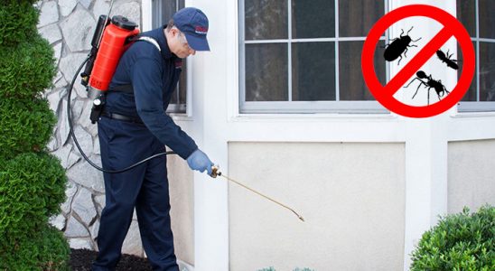 Mutki Dezenfeksiyon böcek ilaçlama ve haşere kontrolü — ilaclama-tr.com